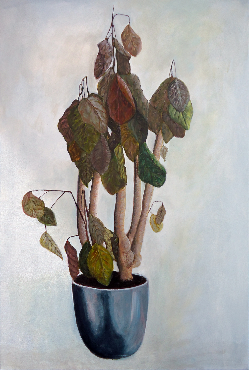 Dode Plant